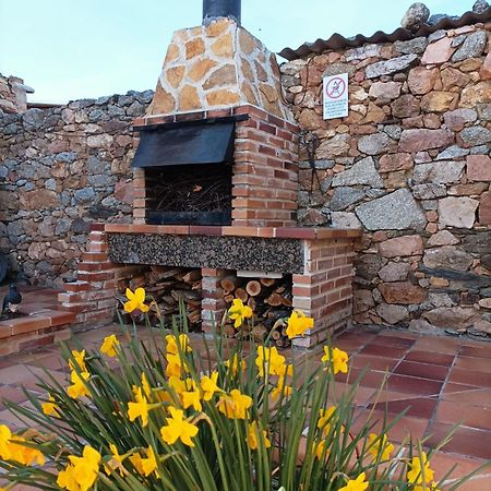 Willa La Casa Del Buho Santa Maria la Real de Nieva Zewnętrze zdjęcie