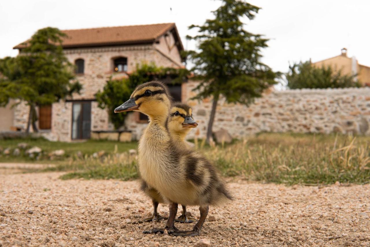 Willa La Casa Del Buho Santa Maria la Real de Nieva Zewnętrze zdjęcie